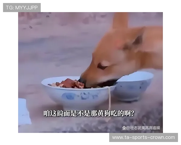 田亮居然连家里的狗都比普通人还奢侈，谁养宠物像养明星啊？