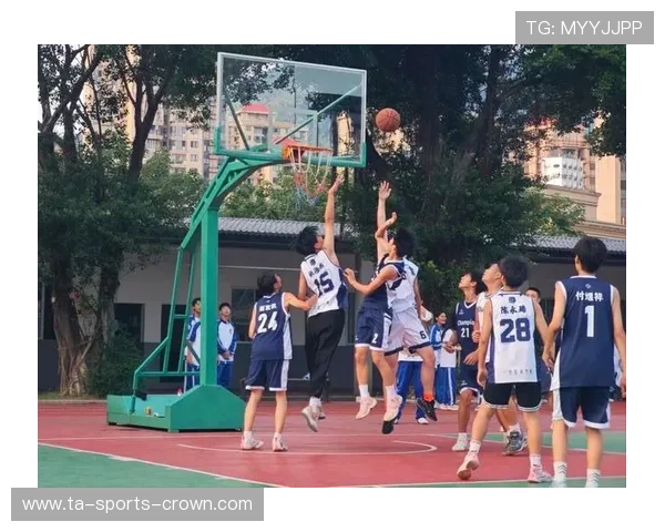 篮球比赛后场规则详解：具体规定与判定标准是什么